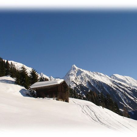 Ferienwohnungen Kroell - Appartements Viktoria Und Landhaus Maria Mayrhofen Exterior photo