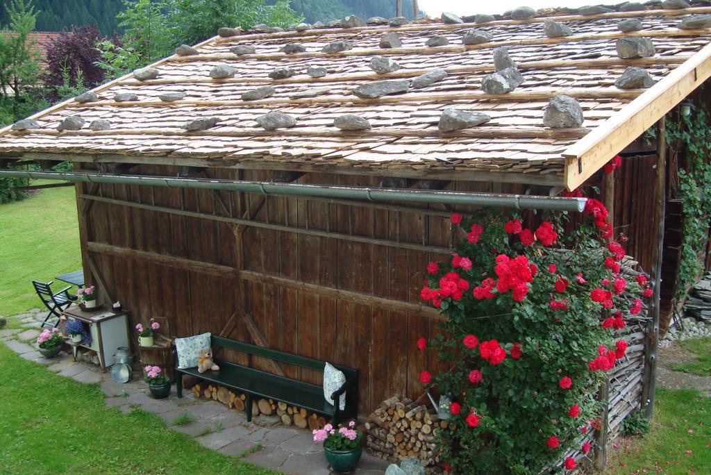 Ferienwohnungen Kroell - Appartements Viktoria Und Landhaus Maria Mayrhofen Exterior photo
