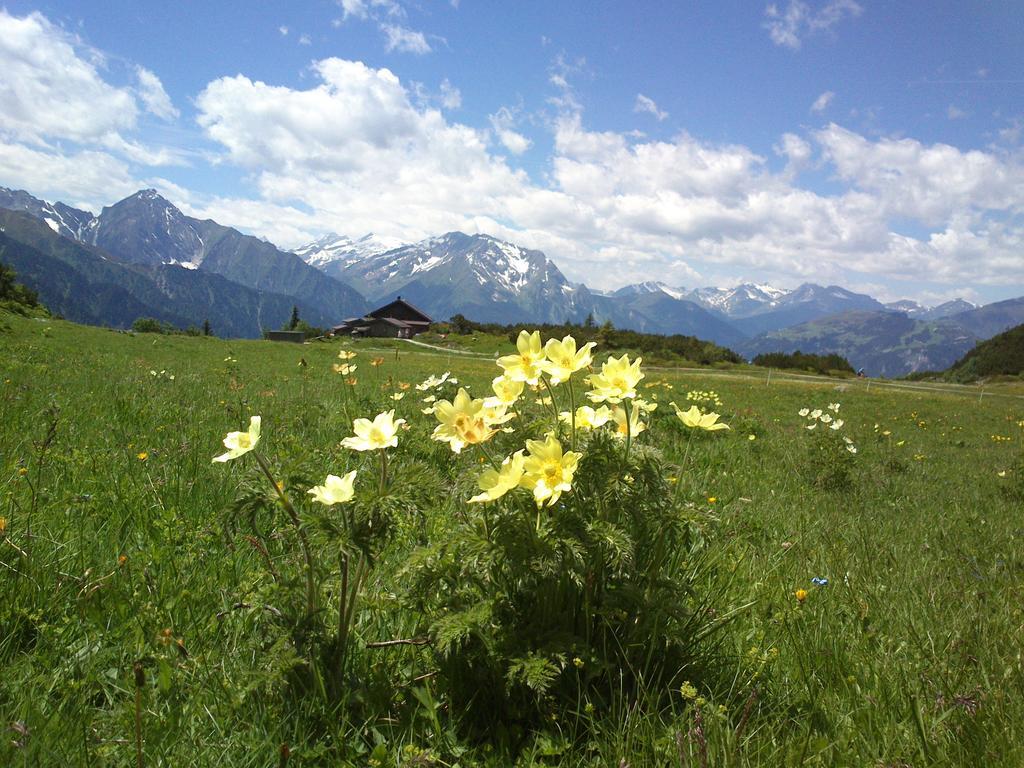 Ferienwohnungen Kroell - Appartements Viktoria Und Landhaus Maria Mayrhofen Exterior photo