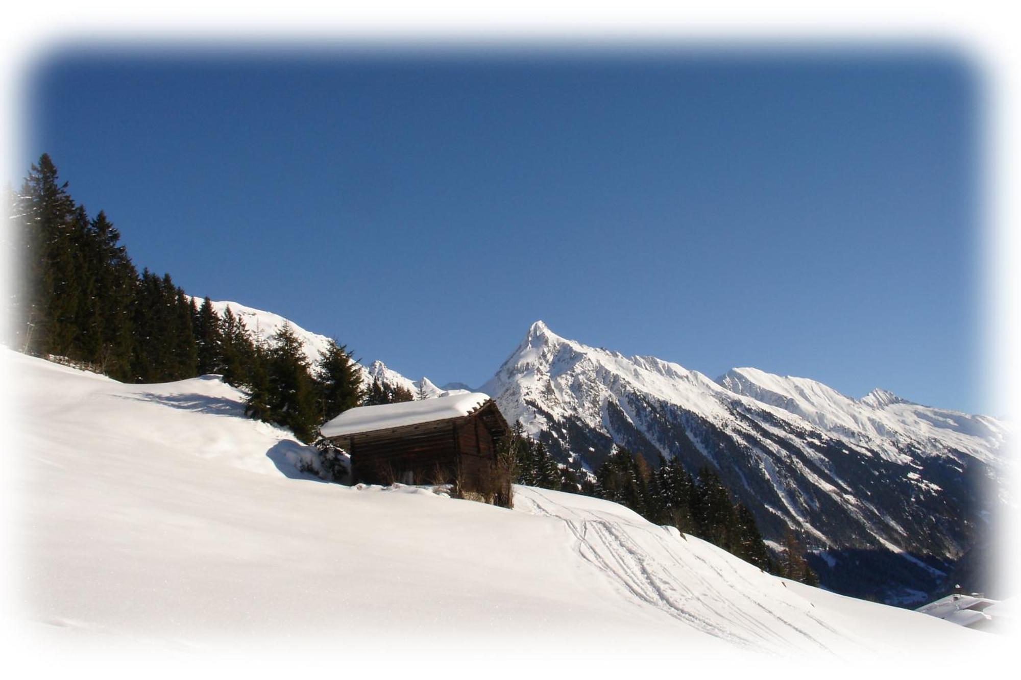 Ferienwohnungen Kroell - Appartements Viktoria Und Landhaus Maria Mayrhofen Exterior photo